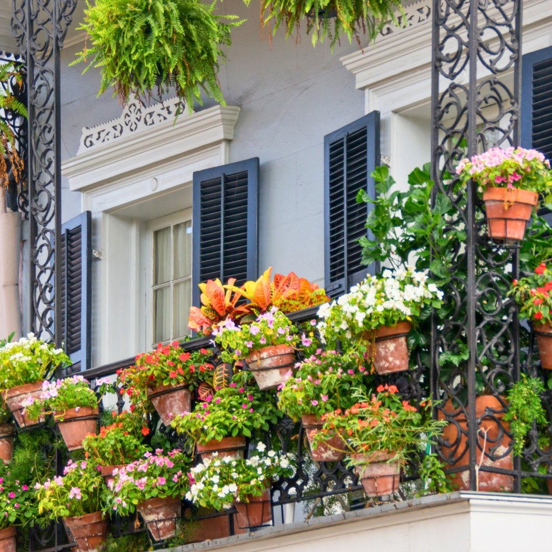 grow your home garden in small spaces like balconies, fences, and small backyards